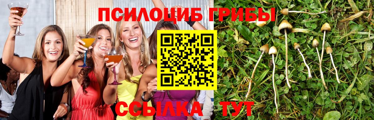 Галлюциногенные грибы мухоморы Новочеркасск
