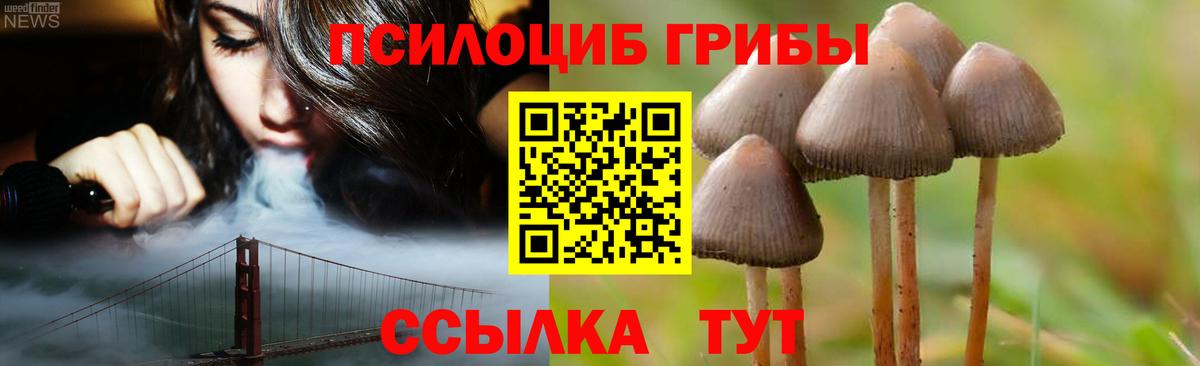Новочеркасск  Галлюциногенные грибы ЛСД  Вход с VPN 
